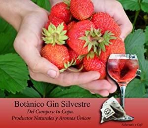 Botánico Gin Silvestre Del Campo a tu Copa.